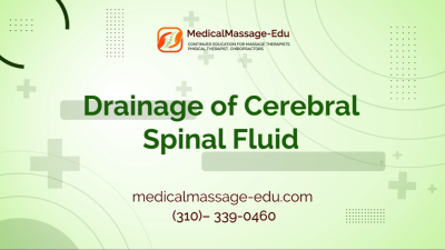 Drainage of Cerebral Spinal Fluid